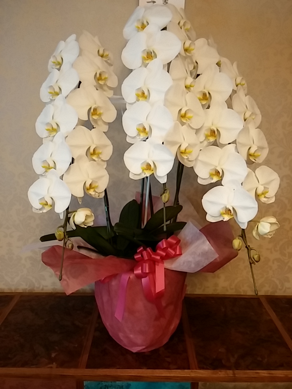 50th anniversary of founding YAESU.